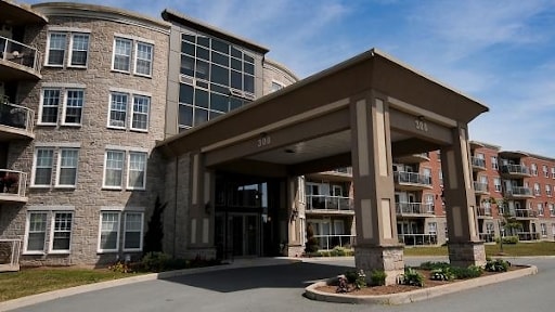 The Willow - The Willow