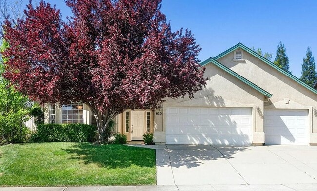 Building Photo - Spacious Home Near Mountain View School wi...