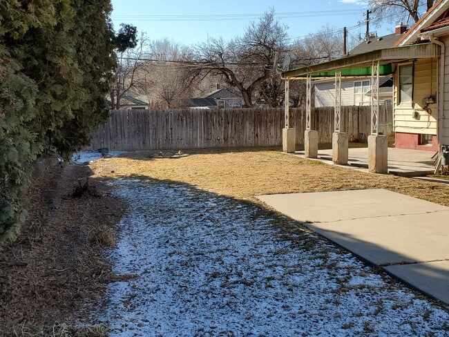 Patio and yard - 353 Lawton St Unit 351 Lawton Street