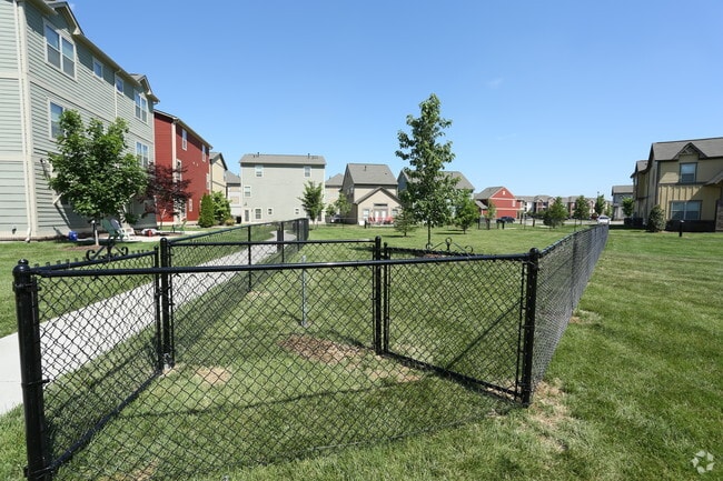Pet Area