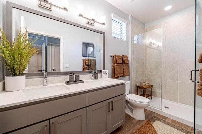 Solara Vista apartments — community photo