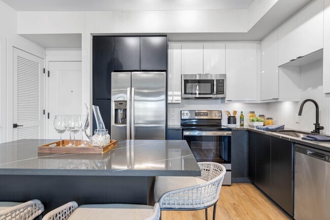 Photo - Tortoise One