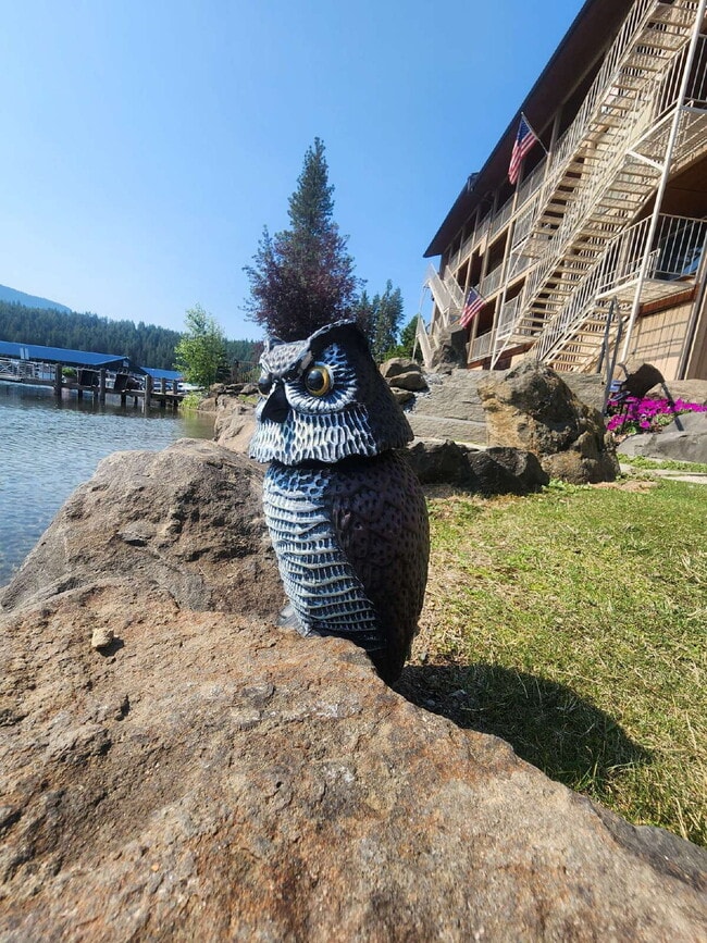 Photo - Bayview Lakeside Charmer Unidad #1