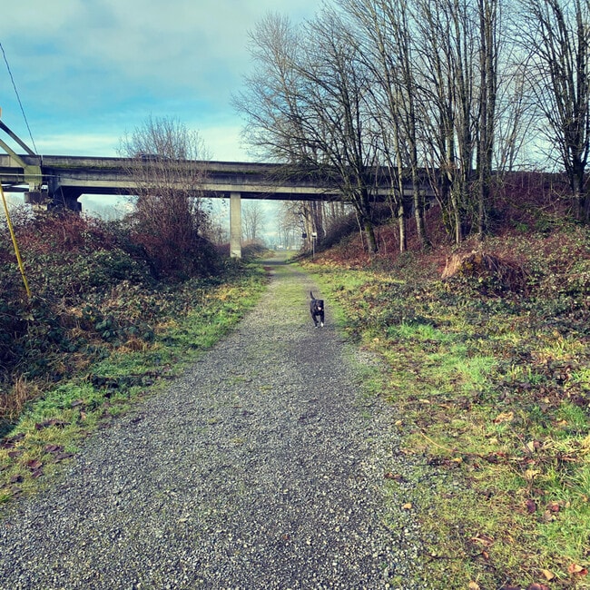 Photo - 5621 126th St SE Unit 5621 126th SE, A