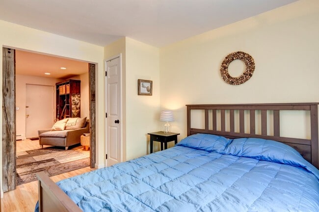 Photo - Downtown Breckenridge One Bedroom! Furnished,  Great natural light! 2parking spots!  Best Location