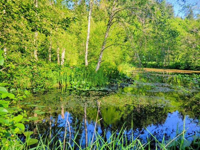 Photo - 1310 Oyster Creek Ln