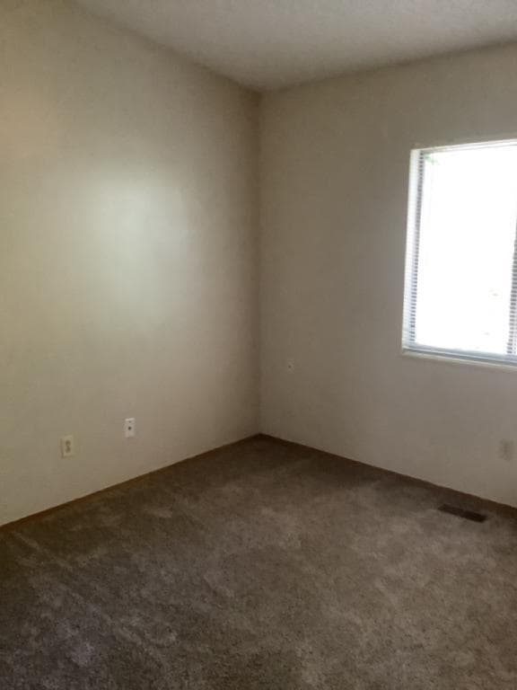 Photo - 5709 Hermit Pass Dr