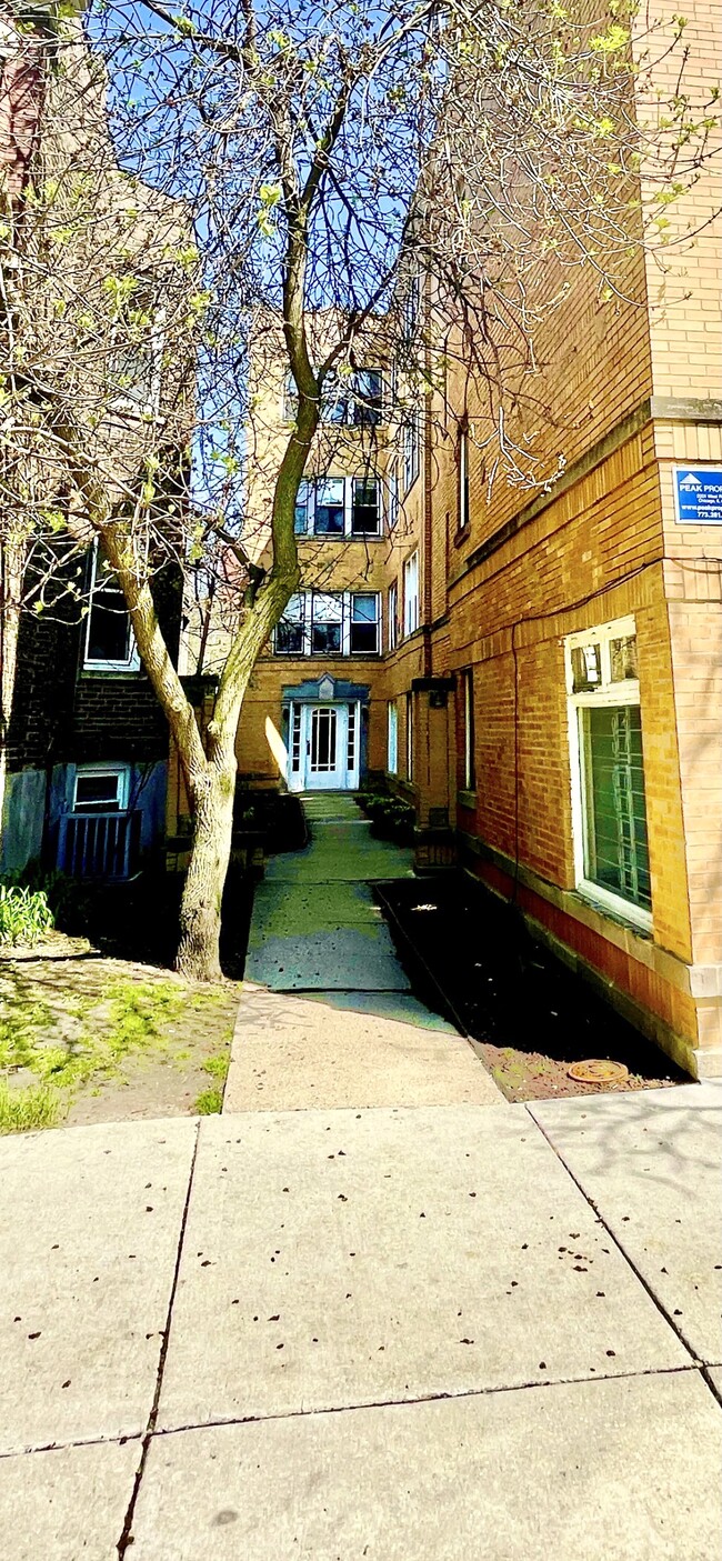 Photo - 3917 N Southport Ave Unidad 2E Rental