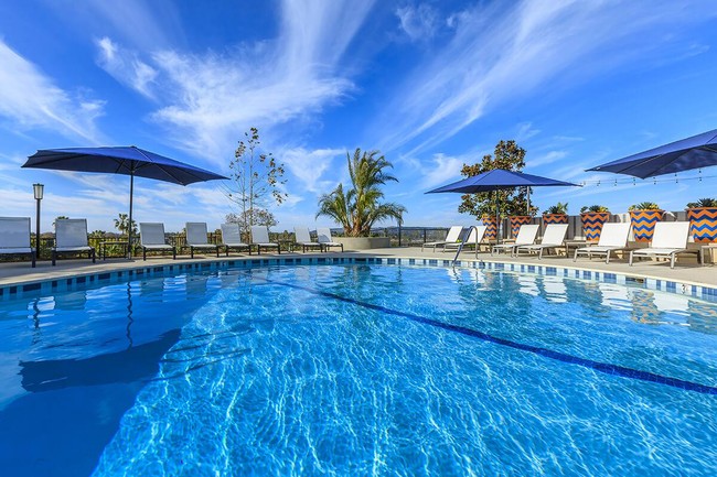 Resort Style Pool