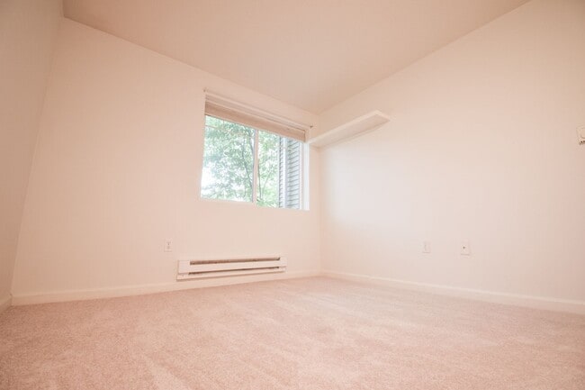 Photo - Beautiful 2 BR 2 BA Condo! Beautifully Updated! W/S/G is included.