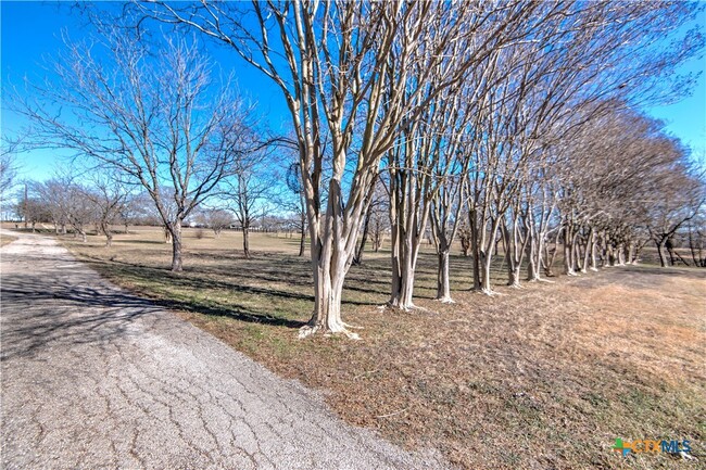 Building Photo - 1667 Primrose Trail