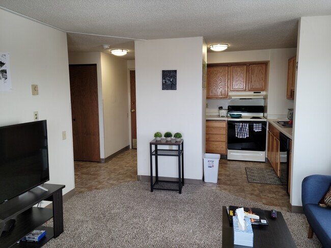 1 bedroom apartment