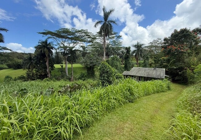 Photo - Remote riverside Kilauea cottage.