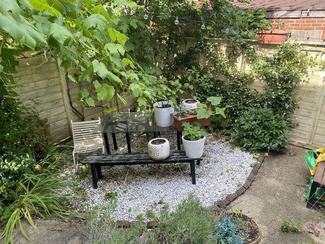 Building Photo - 3215 11th St NW Unit Bsmt