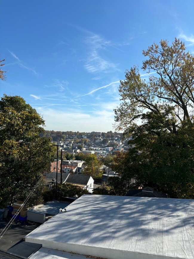 Beautiful view out your back door. - 240 Sommerville Pl Unit #1