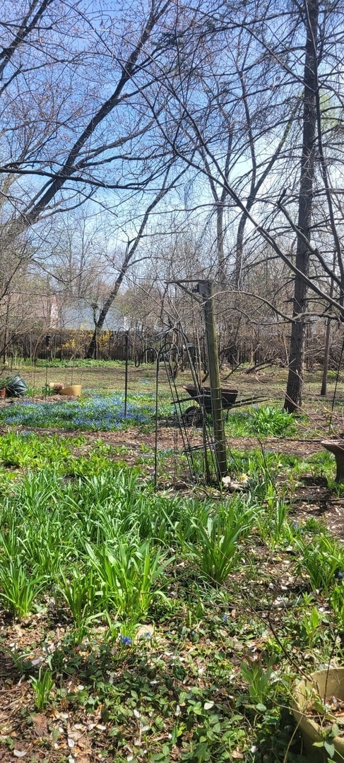 Photo - 6921 Clarendon Hills Rd