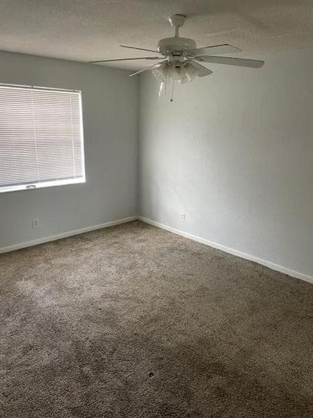 Photo - 355 Sunshine Dr