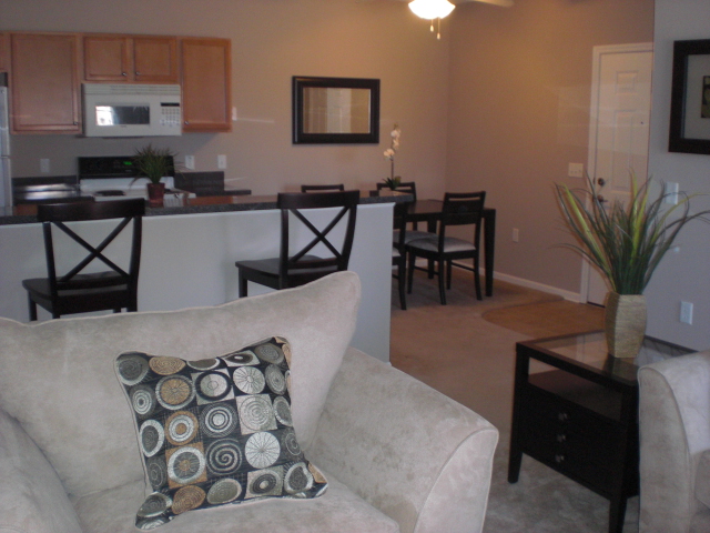 Furnished Units Available - Summit Rise Apartments