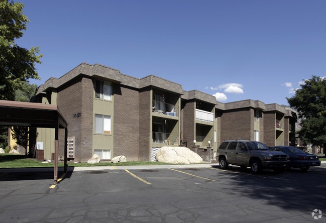 Photo - Country Woods