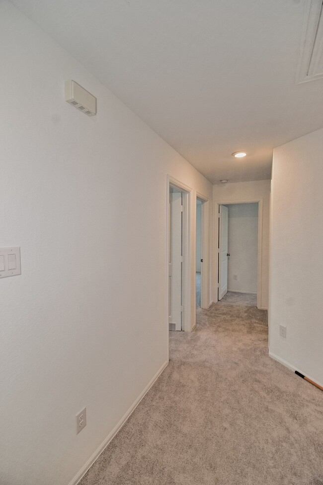 Photo - 4207 Palmetto Grv Ln