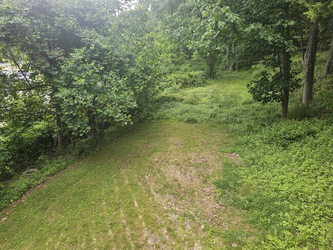 Photo - 69 Mt Hope Rd