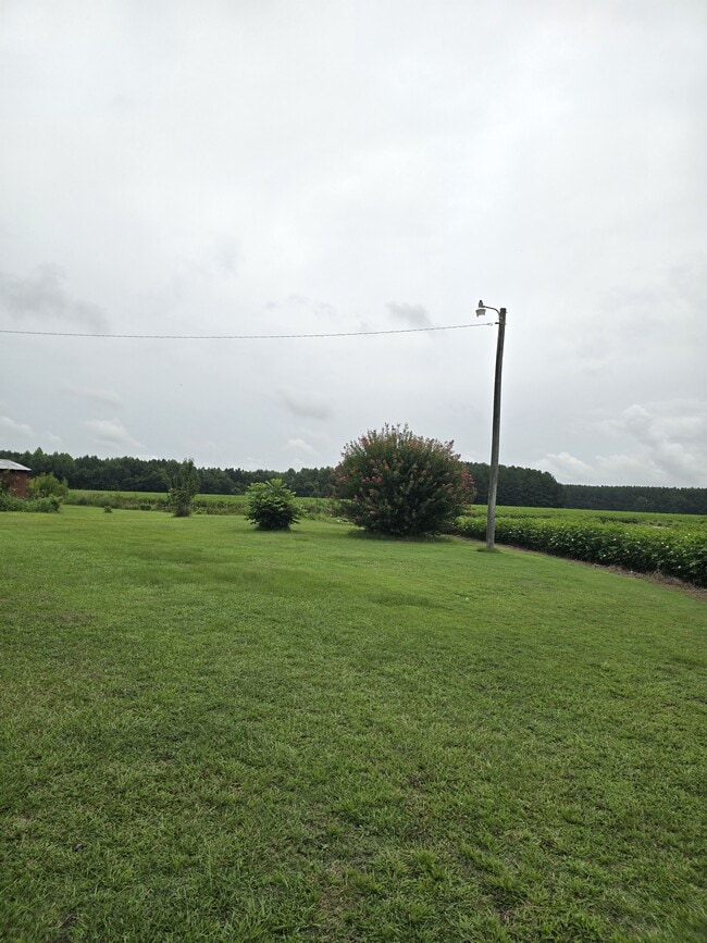 Photo - 1717 Black Rd
