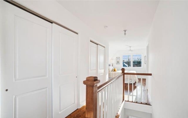 Suite tipo loft - Monarch Hill East