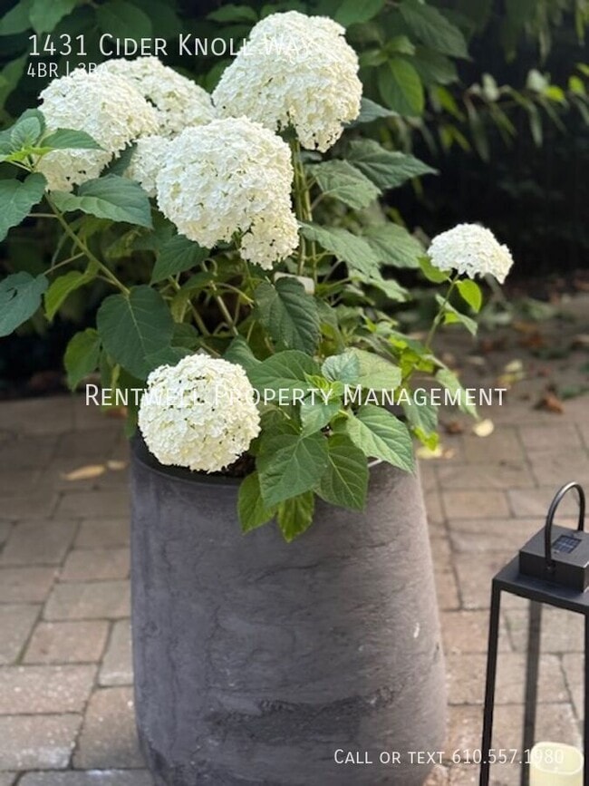 Photo - 1431 Cider Knoll Way