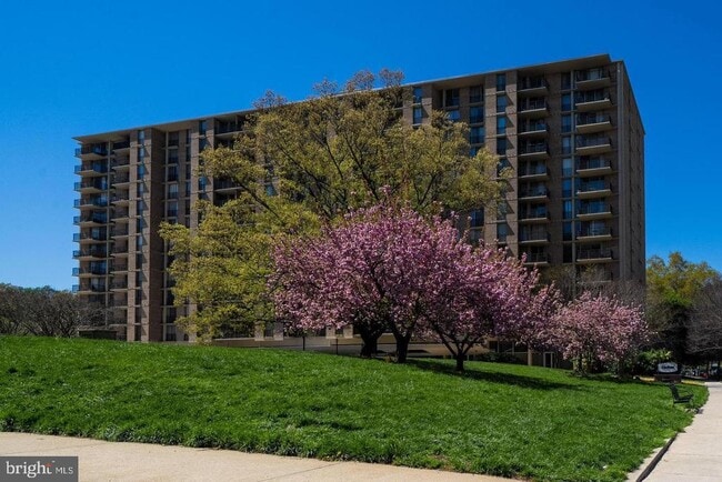 Building Photo - 4600 S Four Mile Run Dr Unit 911 Rental