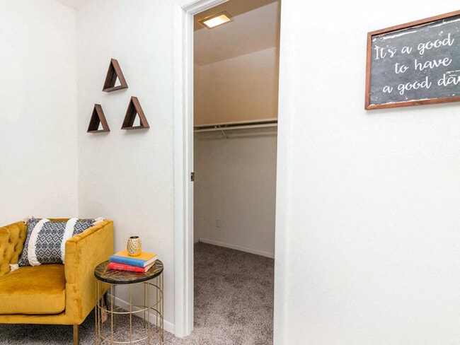 Large Walk-In Closets