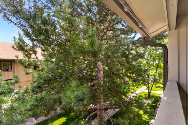 Photo - Great Condo near CSU