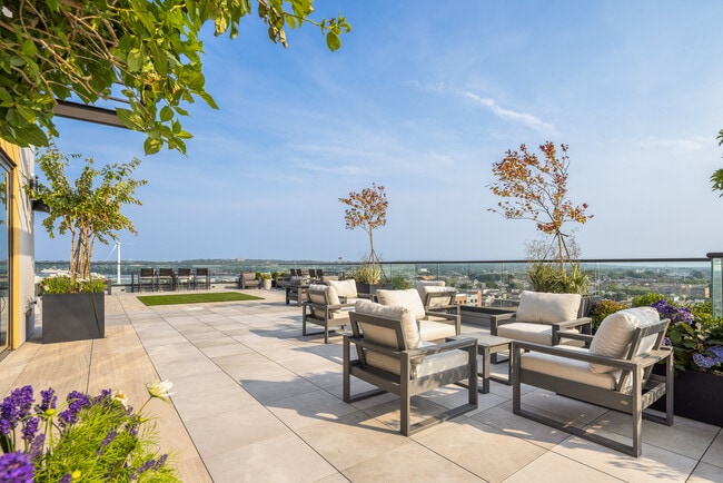 Photo - Alora Bayonne