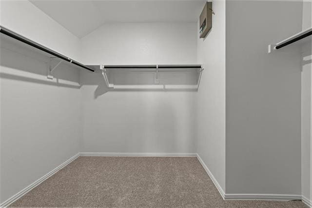 Photo - 1504 Foxglove Dr