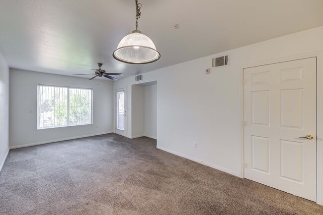 Photo - Sonoma Palms