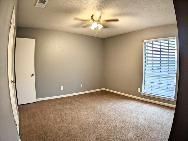 Photo - Southern Pines