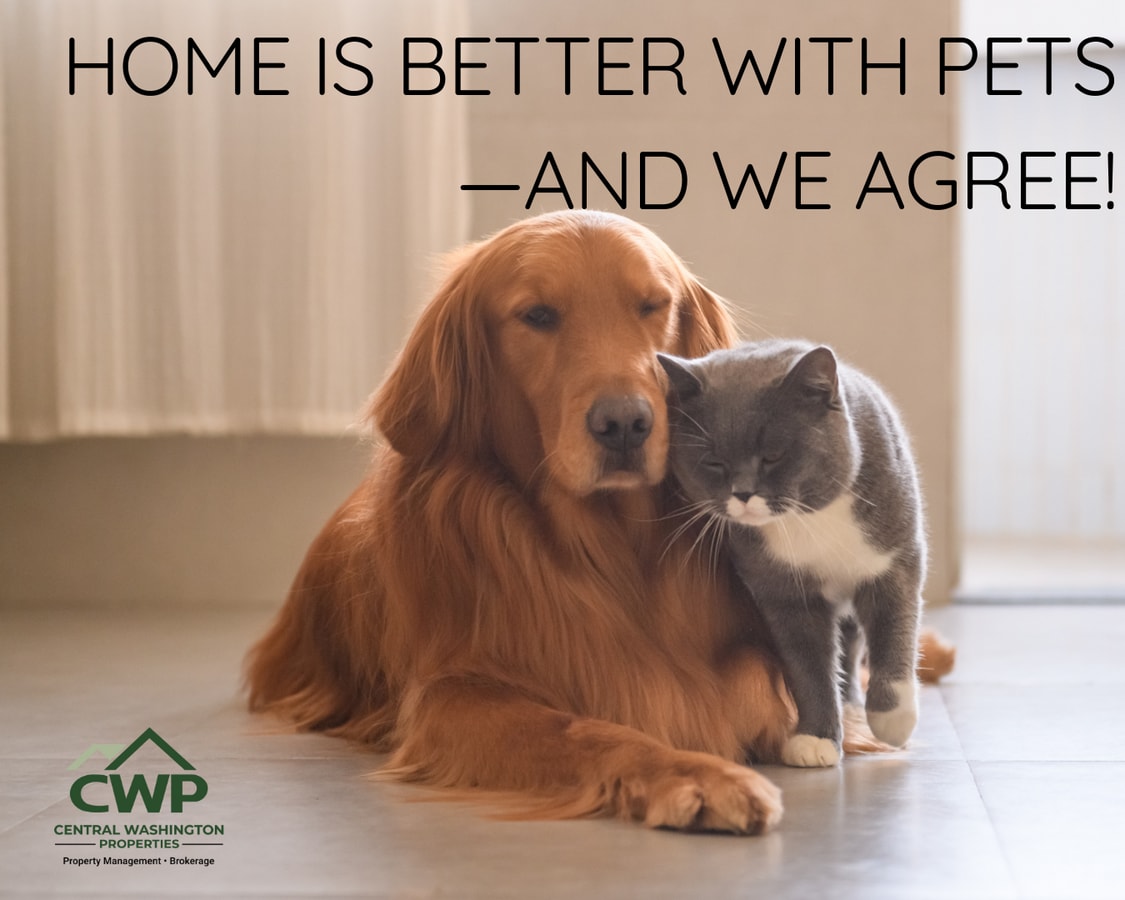 Photo - The Home You’ll Compare Everything Else To!