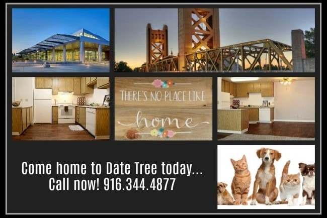 Photo - Date Tree Apartments