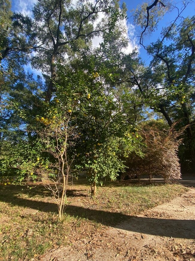 Photo - 2516 McArthur St