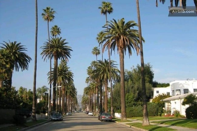 223 S Carson Rd