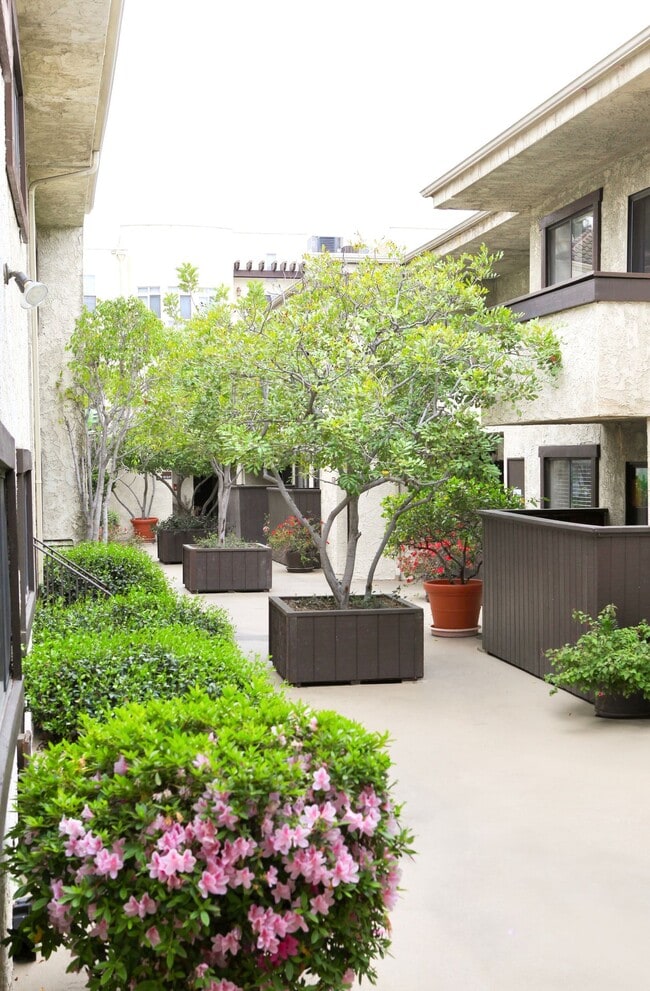 Canyon Glen Apartments