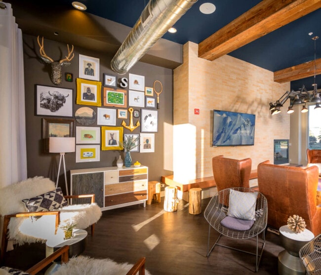 Photo - Stadium View