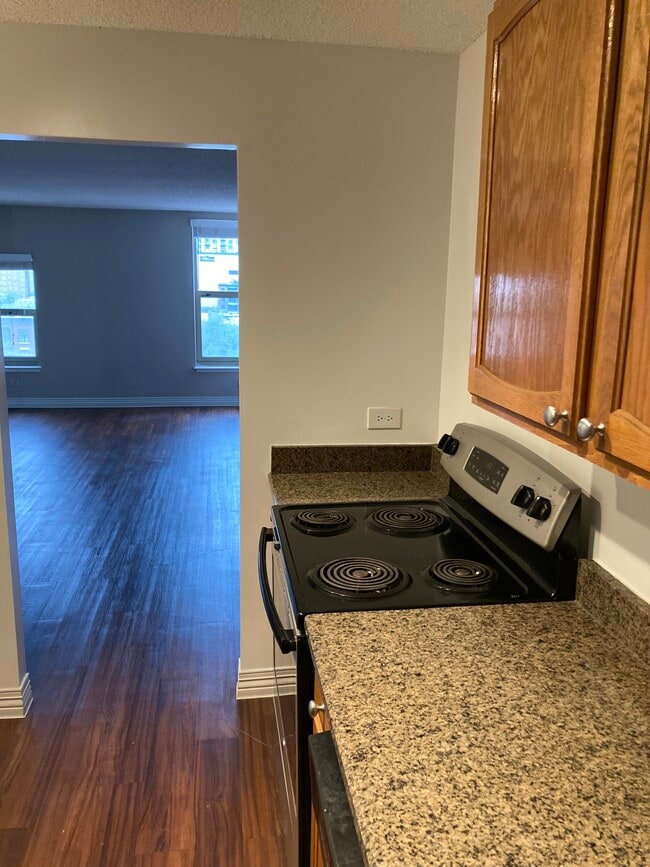 Photo - 755 N Wells St Unit 2