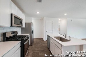 Photo - 15203 Sacred Ibis