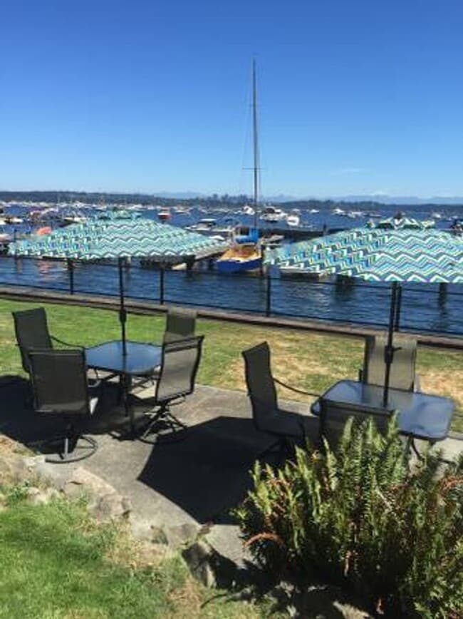 Photo - Blue Dolphin