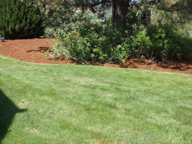 Photo - Executive Suite/Vacation/Short Term Rental...