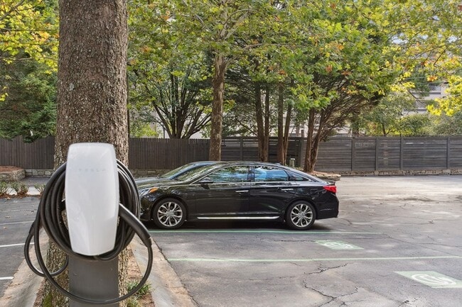 Electric Car Chargers