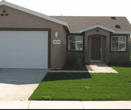 Photo - The Camellias