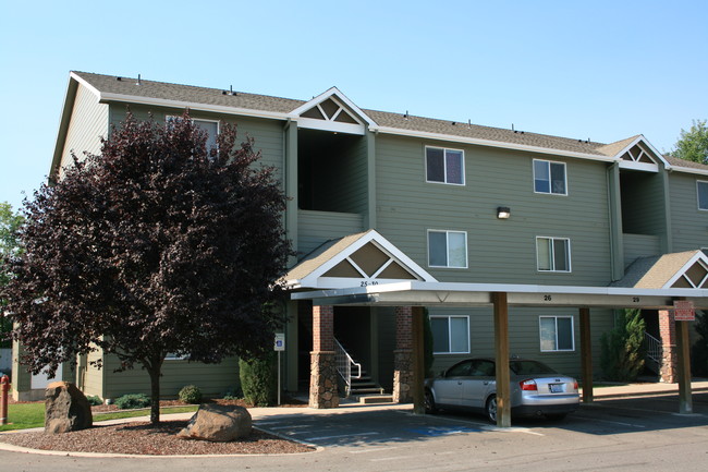 Rosevue Apartments - Rosevue Apartments
