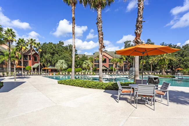 University Of South Florida At Tampa Tampa Campus Off Campus