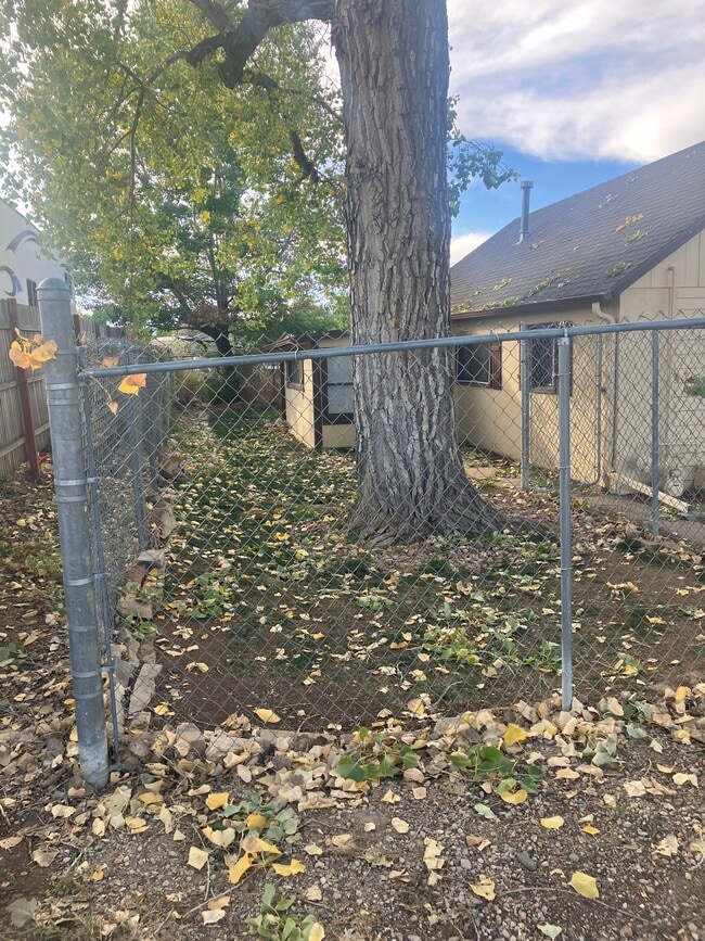 Photo - 4225 Hawg Wild Rd